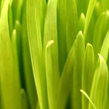 在线DDOS压力测试网页端