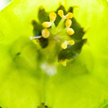 ddos在线攻击工具